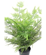 Artificial Australian Fern 60