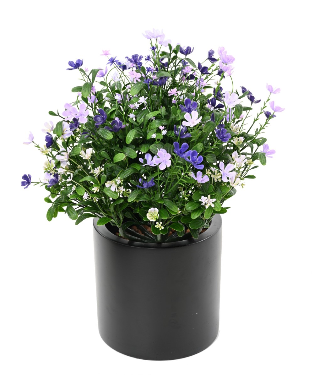Artificial Soapwort L