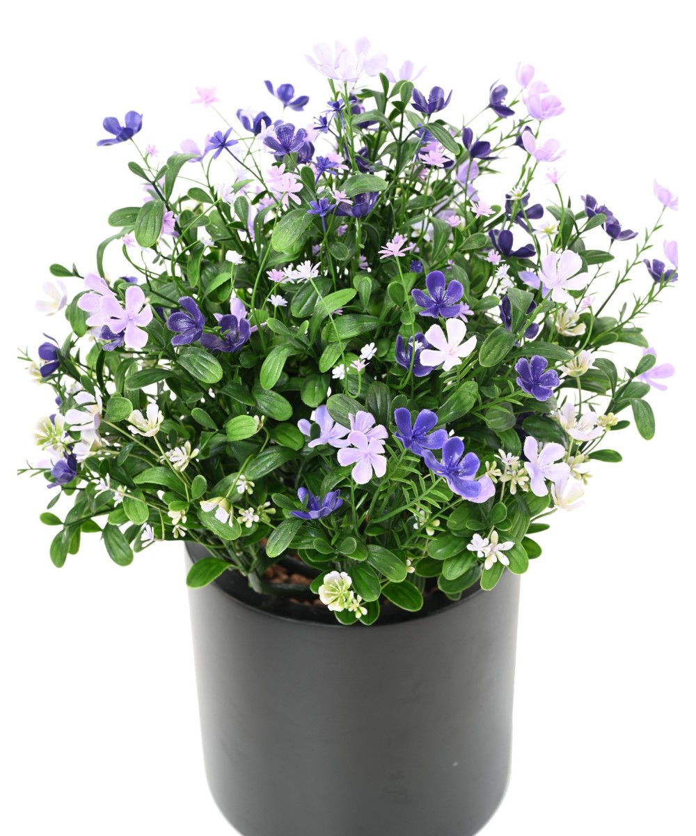 Artificial Soapwort L
