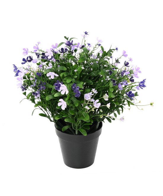 Artificial Soapwort L