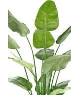 Kunstlik STRELITZIA NICOLAI