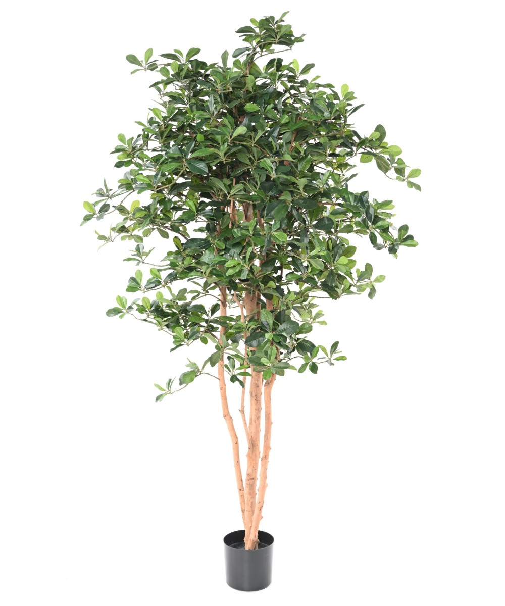 Artificial FICUS BLACK OLIVE 178