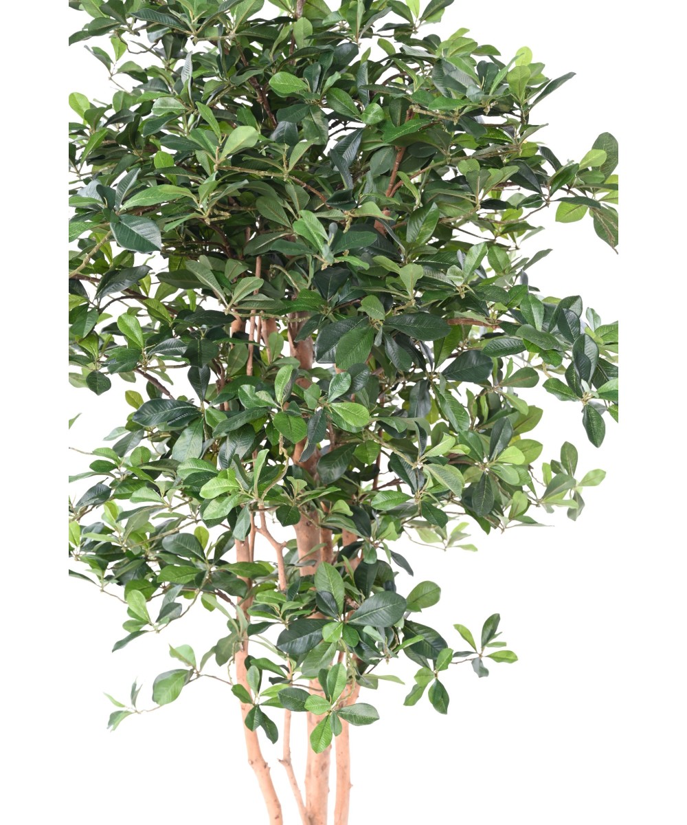 Artificial FICUS BLACK OLIVE 178