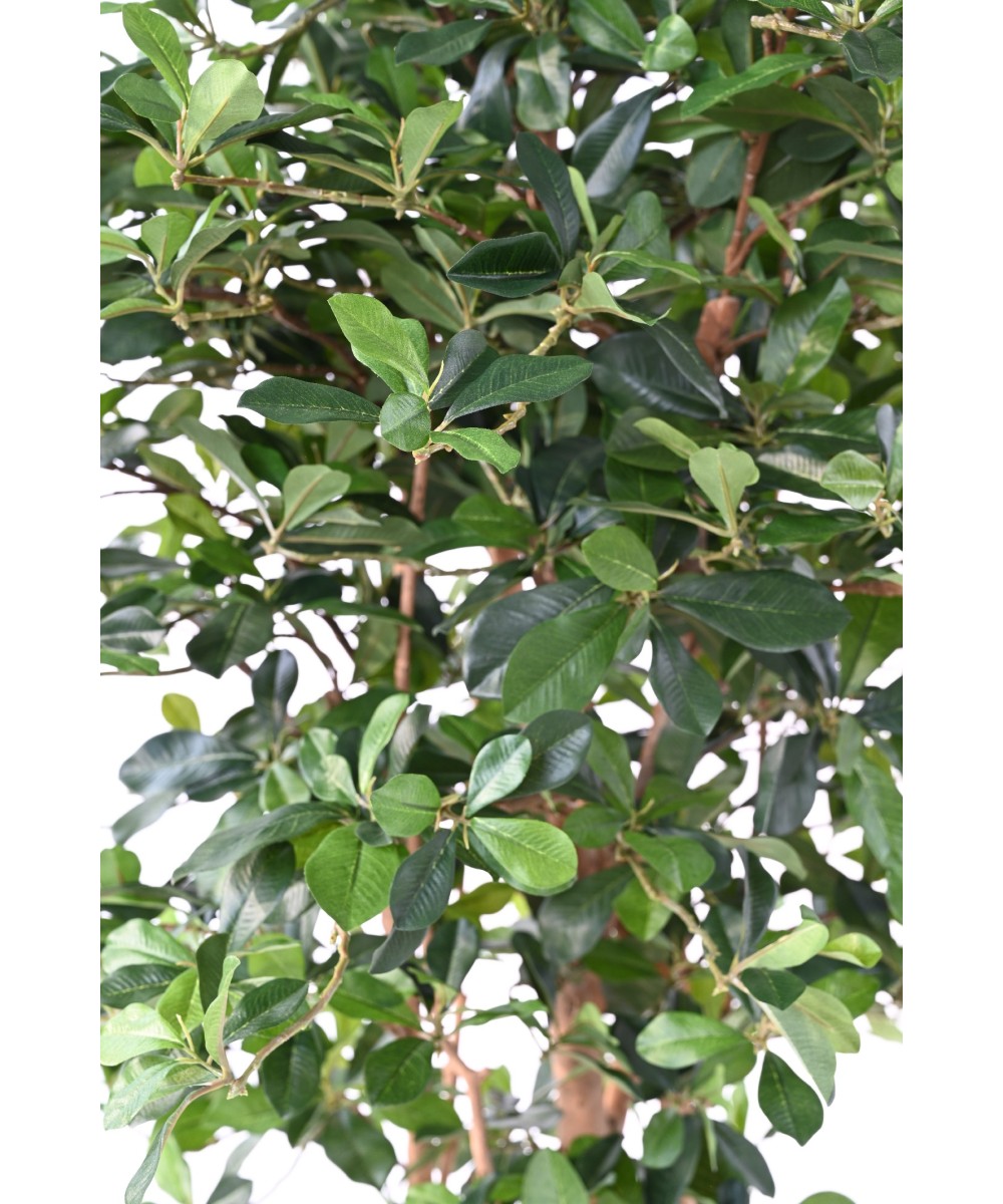 Artificial FICUS BLACK OLIVE 178
