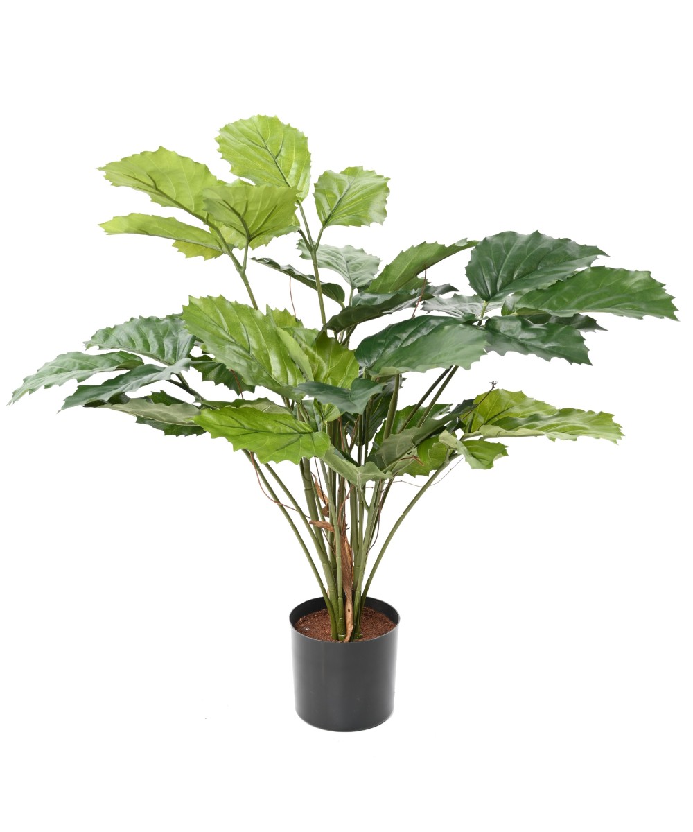 Kunstlik tetrastigma 70