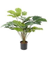 Kunstlik tetrastigma 70