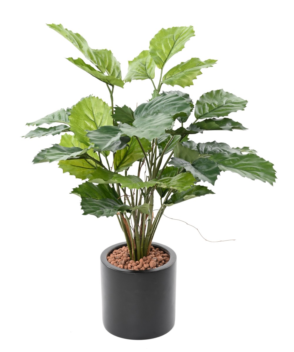 Kunstlik tetrastigma 70
