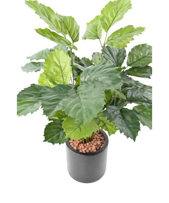 Kunstlik tetrastigma 70