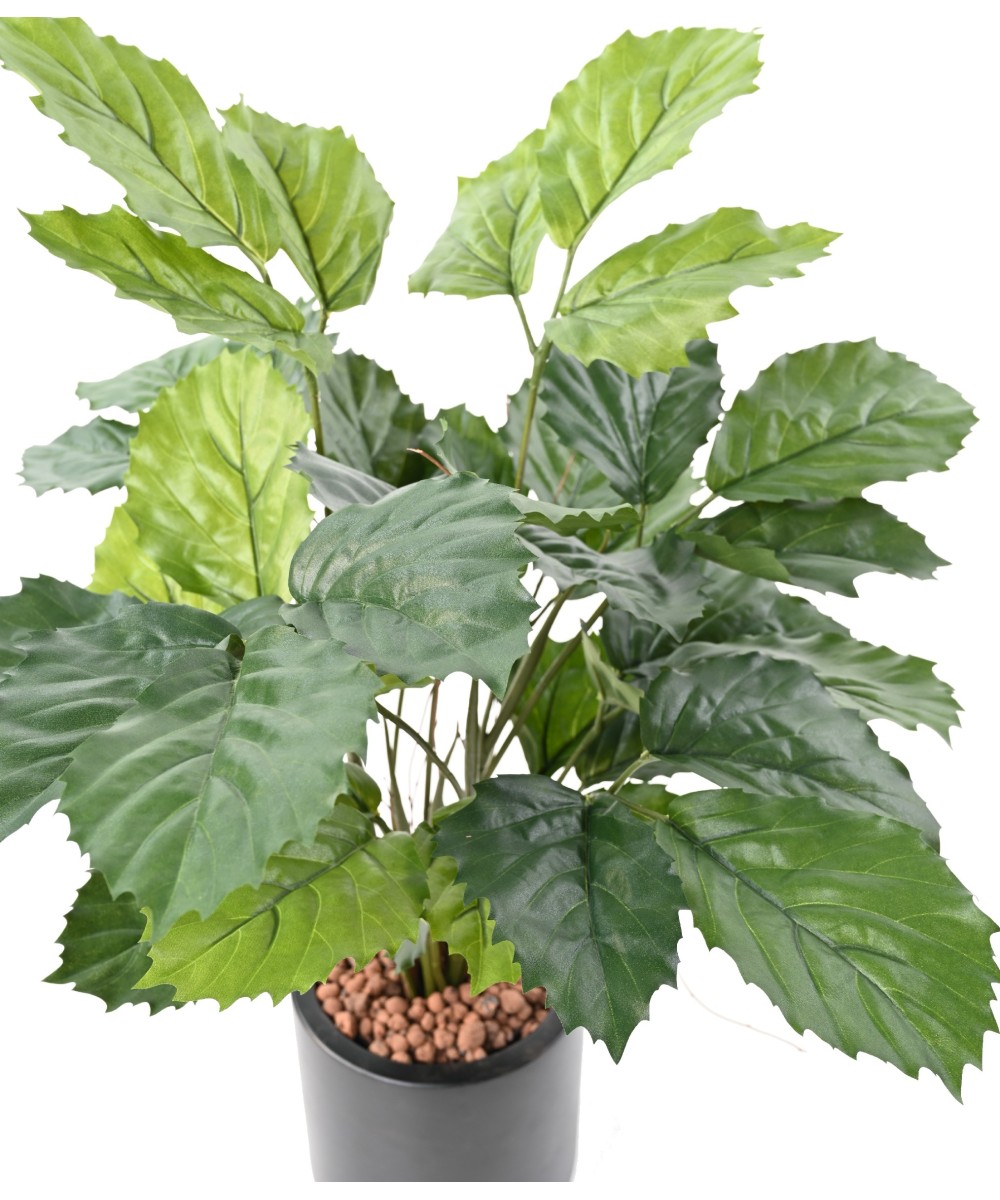 Kunstlik tetrastigma 70