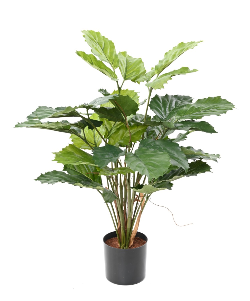 Kunstlik tetrastigma 70
