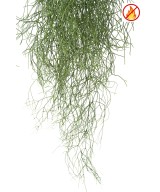 Kunstlik RHIPSALIS 85 FR - Tulekindel