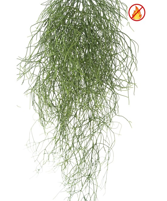 Kunstlik RHIPSALIS 85 FR - Tulekindel