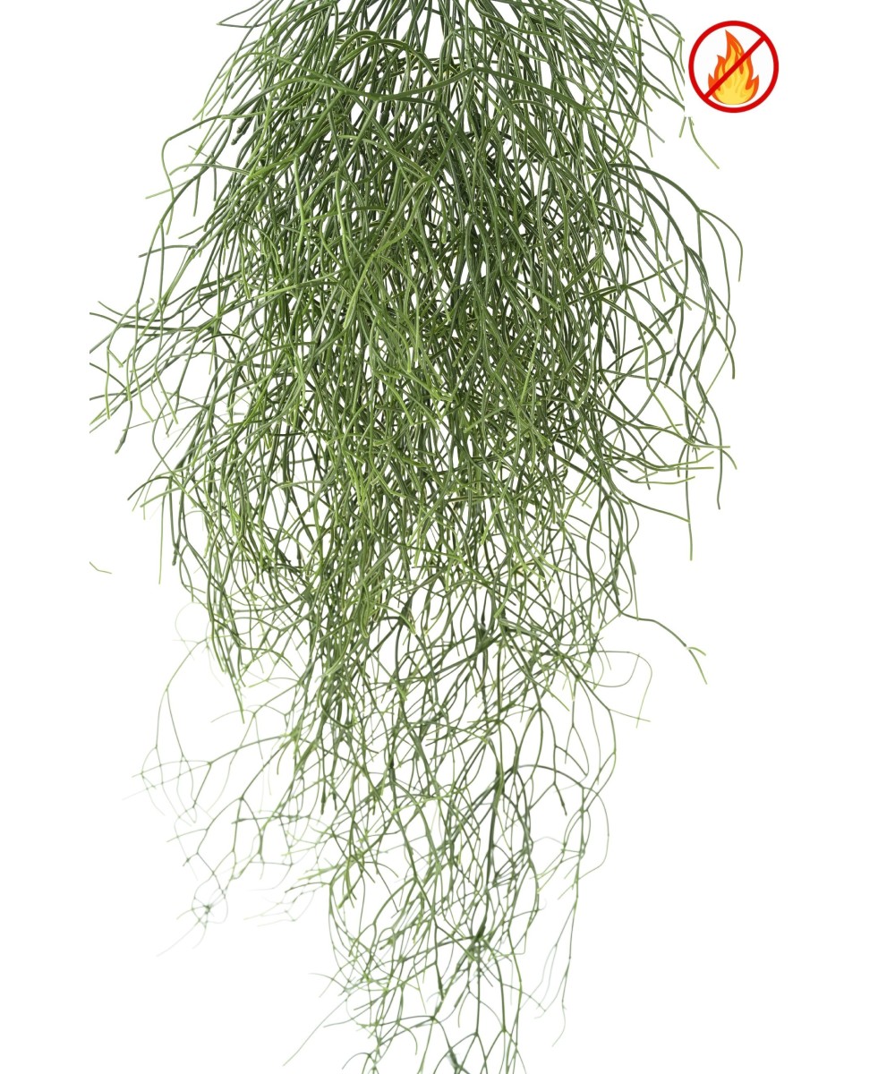 Kunstlik RHIPSALIS 85 FR - Tulekindel