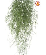 Kunstlik RHIPSALIS 85 FR - Tulekindel