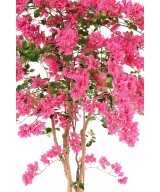 Kunstbugenvillea T
