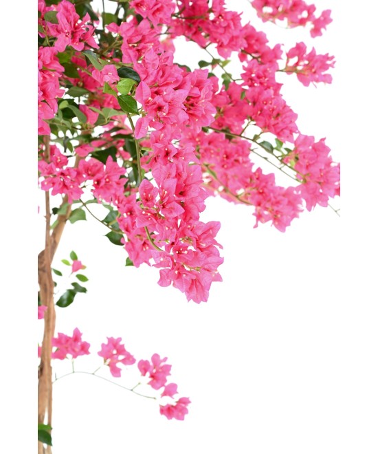 Artificial BOUGAINVILLEA T