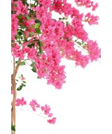Kunstbugenvillea T