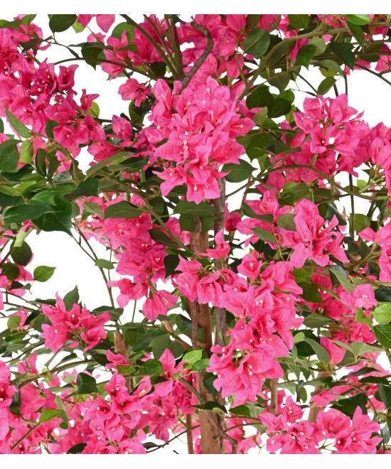 Artificial BOUGAINVILLEA T