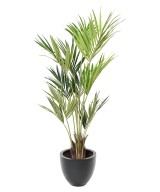 Kunstkentia ECO