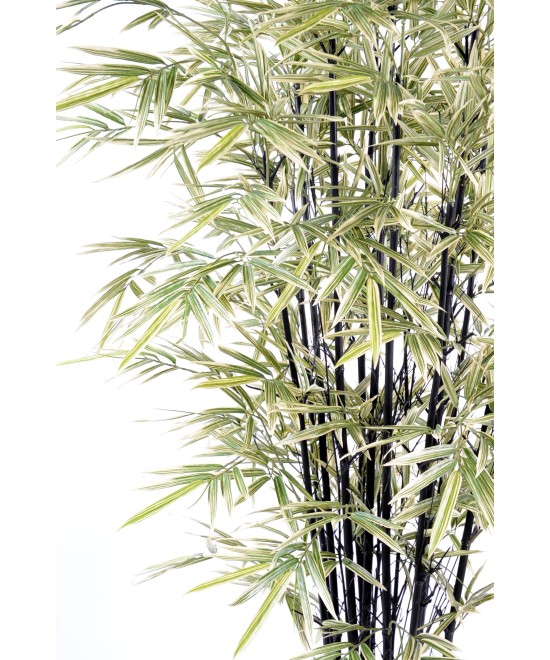Artificial bamboo BLACK SHIROSHIMA LARGE