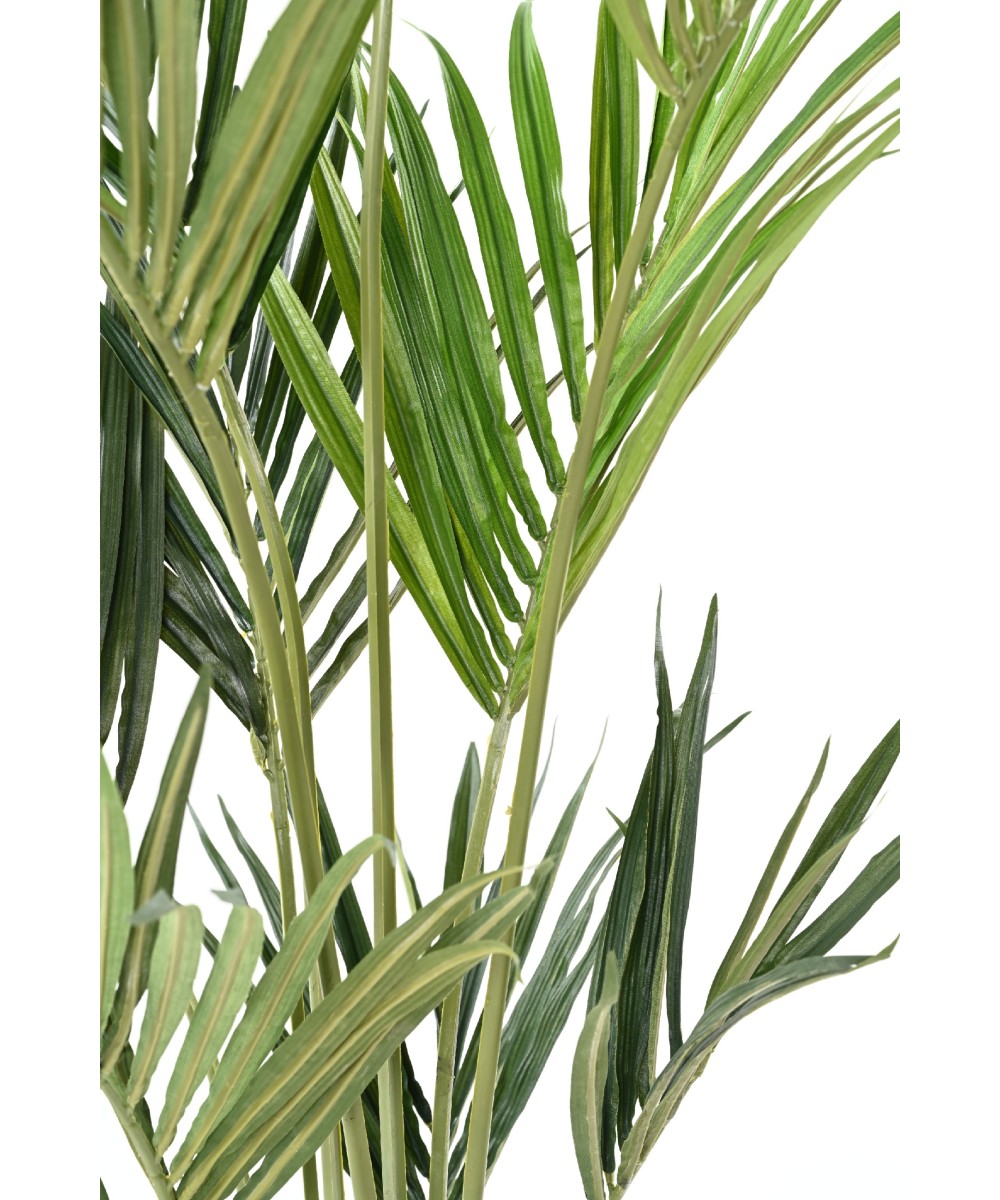 Kunstkentia ECO