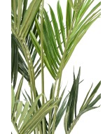 Kunstkentia ECO