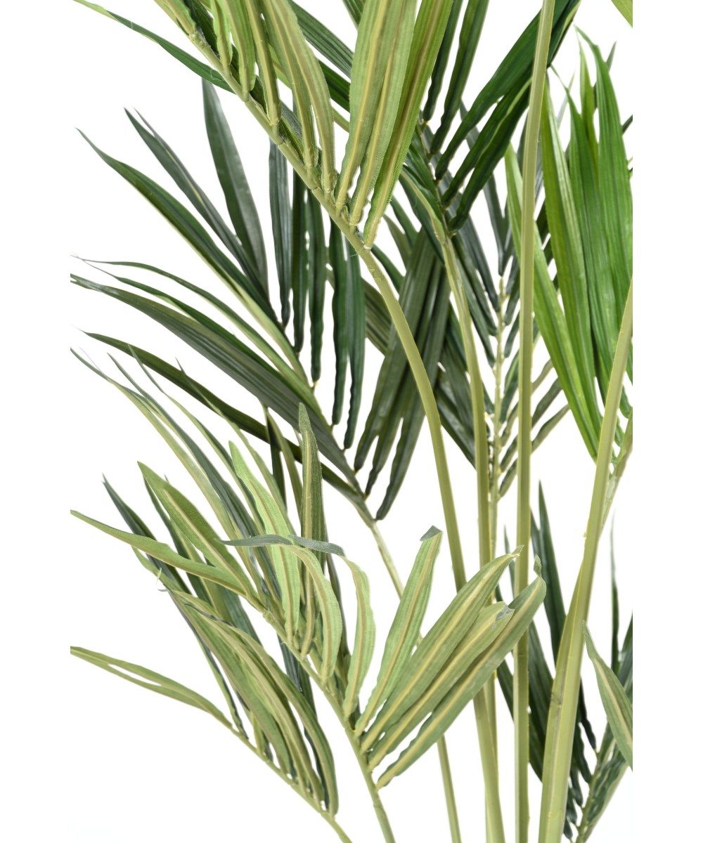 Kunstkentia ECO
