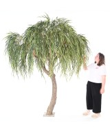 Artificial WILLOW TREE