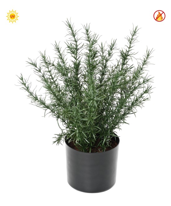 Artificial ROSEMARY POT 35 CM UV FR - UV RESISTANT/FIRE RESISTANT
