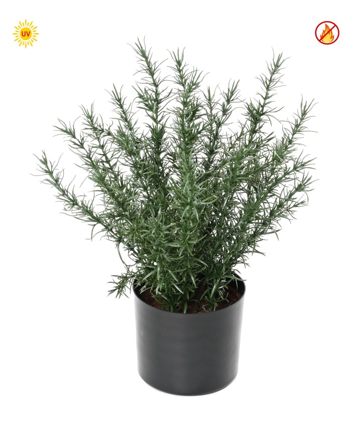 Kunstlik ROSMARIINIPOT 35 CM UV-KINDL - UV-KINDEL/TULEKINDEL