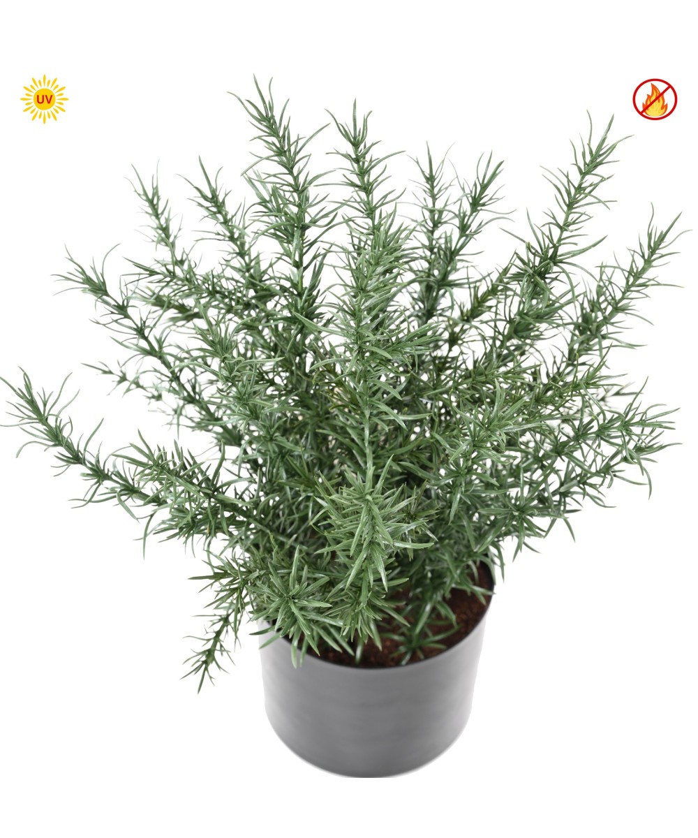 Artificial ROSEMARY POT 35 CM UV FR - UV RESISTANT/FIRE RESISTANT