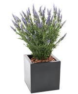 Kunstlik lavendlipott 68 CM (plastik) UV-kindel