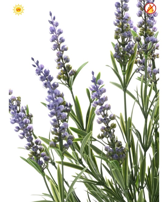 LAVENDLIPOTT 55 CM (plastik) UV-KINDEL - UV-KINDEL/TULEKINDEL