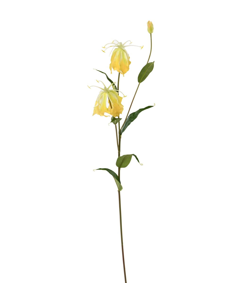 Kunstlik GLORIOSA