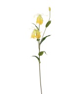 Kunstlik GLORIOSA