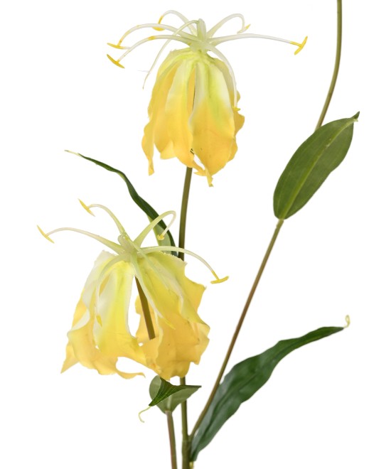 Kunstlik GLORIOSA