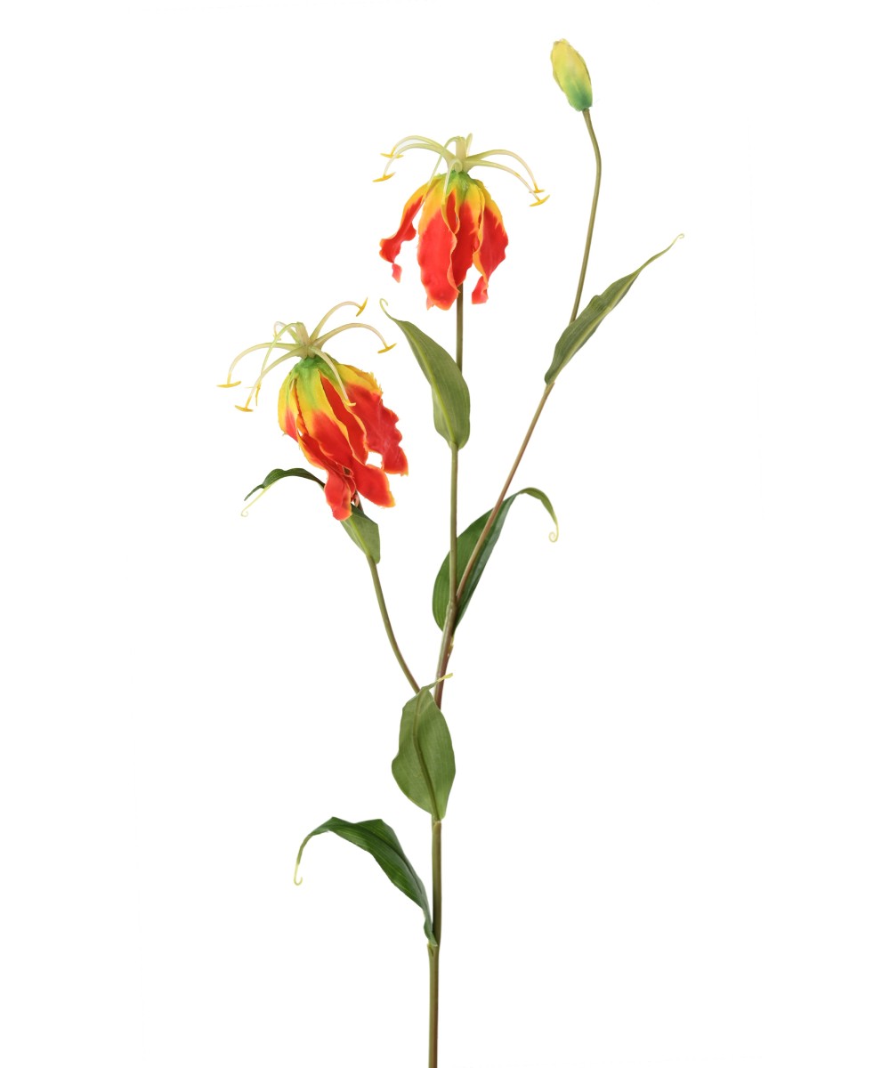 Kunstlik GLORIOSA