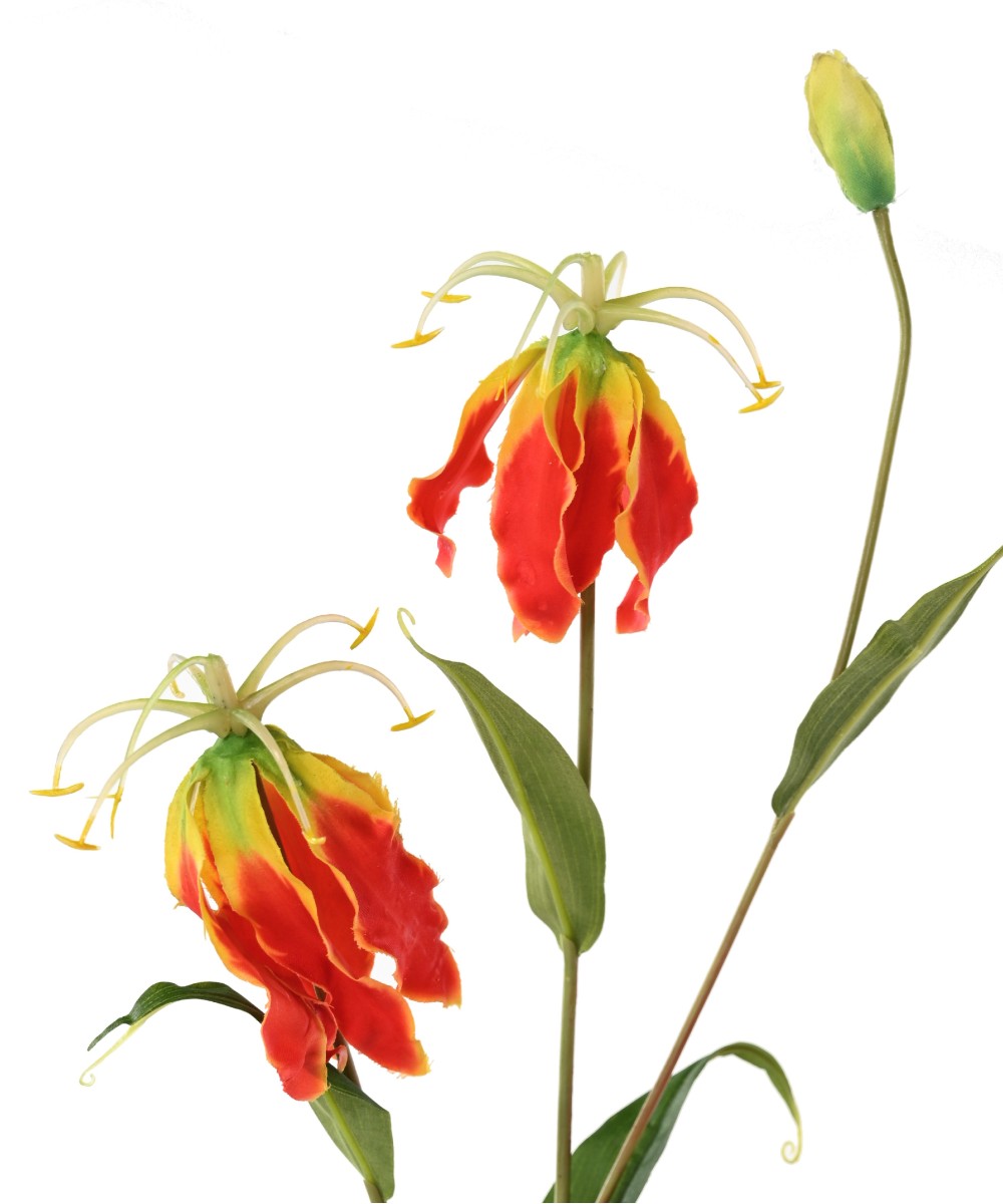 Kunstlik GLORIOSA