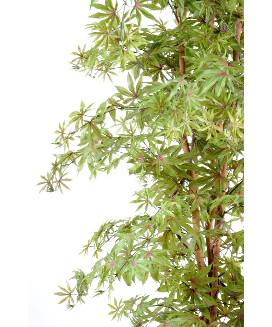 Artificial Aralia new (maple)