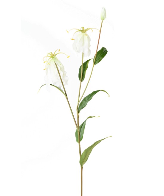 Kunstlik GLORIOSA