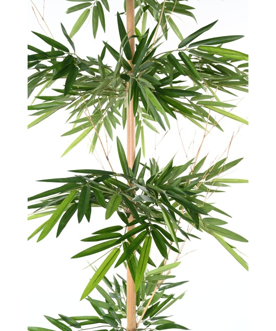 Artificial BAMBOO WILD