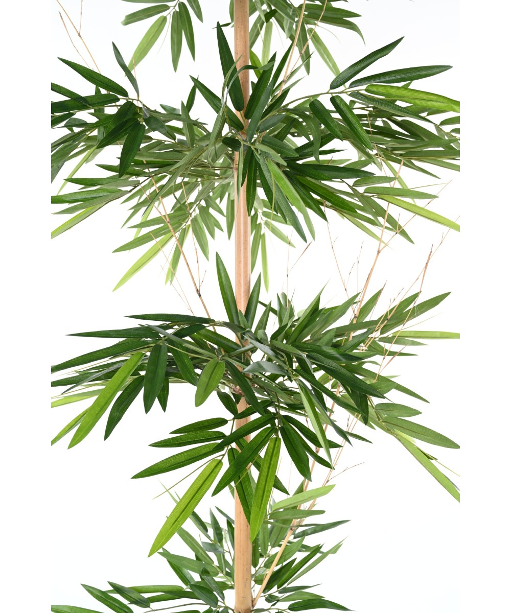 Artificial BAMBOO WILD