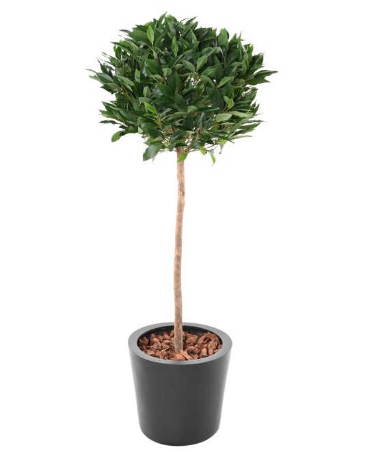 Artificial LAUREL BALL STEM 150 B