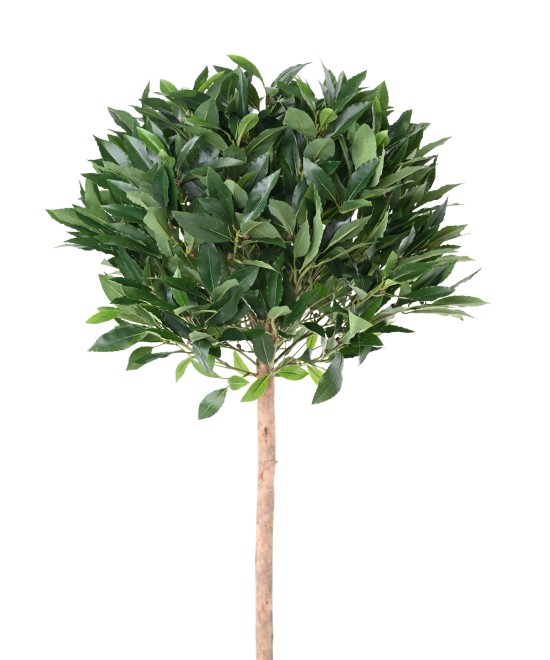 Artificial LAUREL BALL STEM 150 B