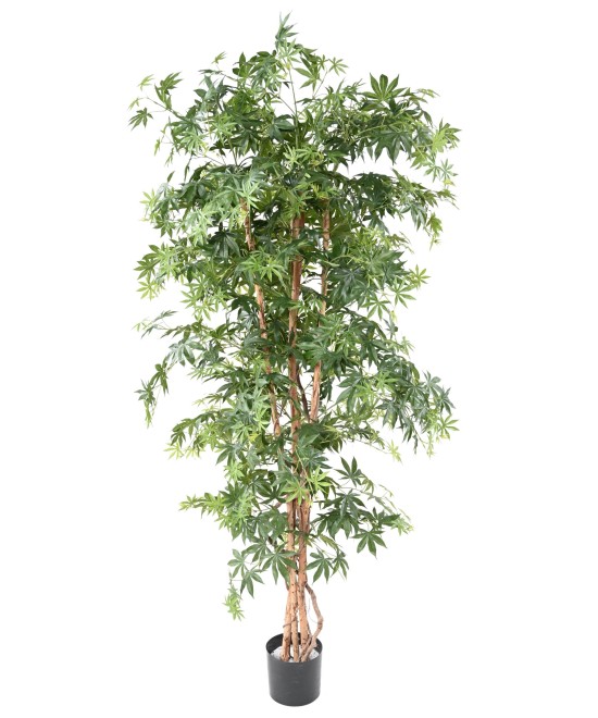 Artificial Aralia new (maple)