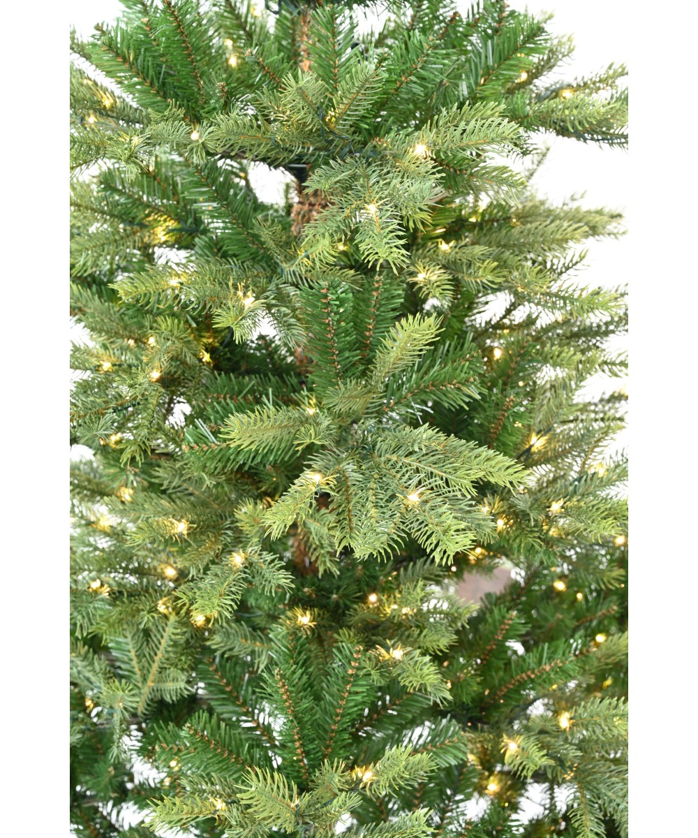 Artificial PRE-ILLUMINATED GRANDIS FIR