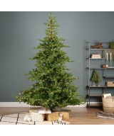 Artificial PRE-ILLUMINATED GRANDIS FIR