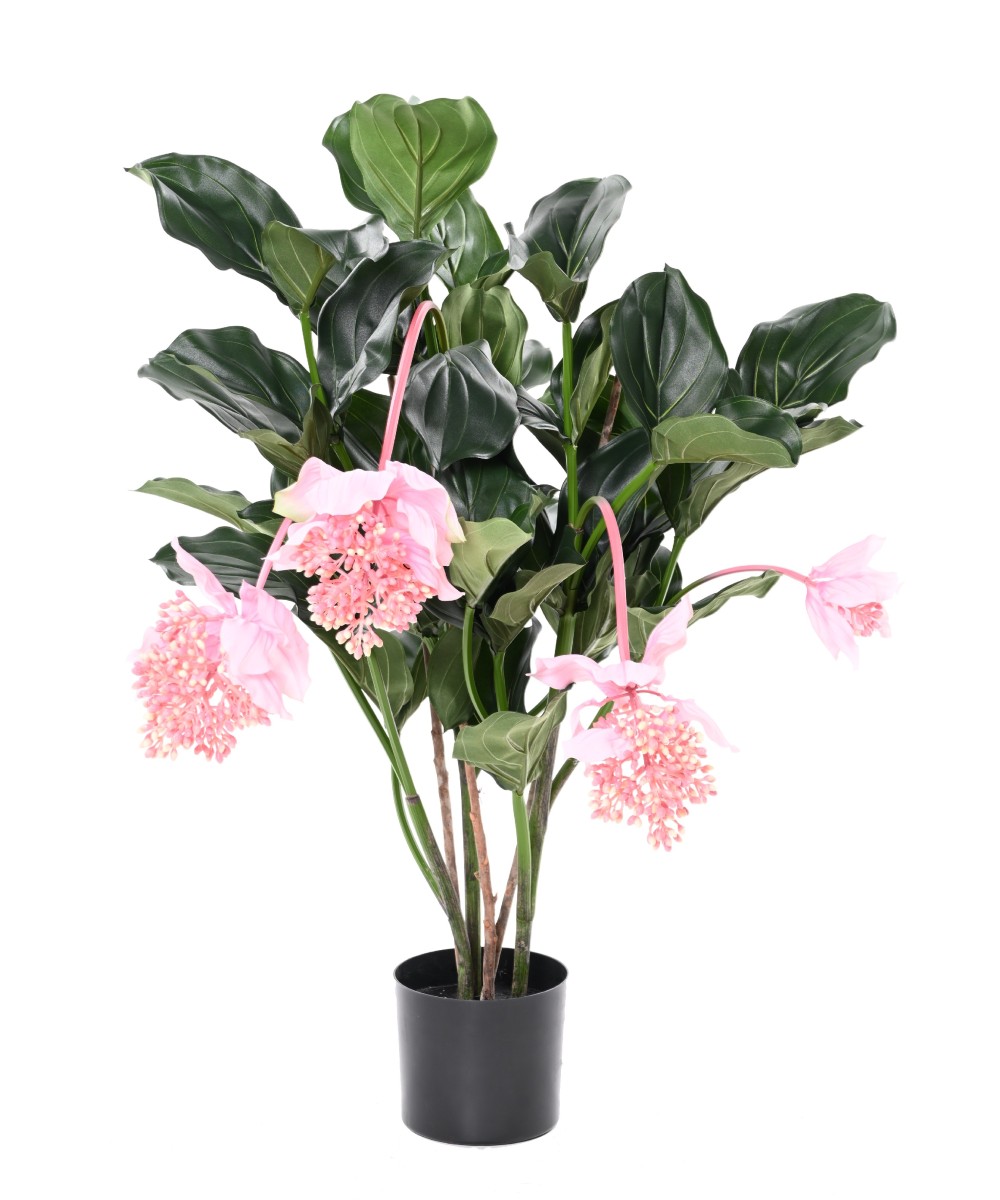 Kunstlill MEDINILLA 90 cm