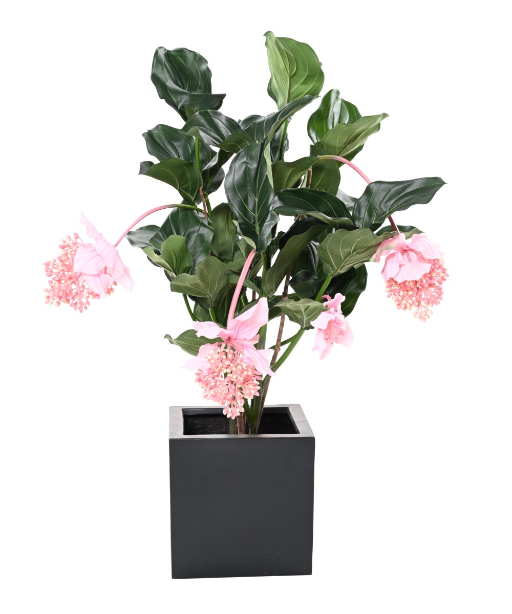 Kunstlill MEDINILLA 90 cm