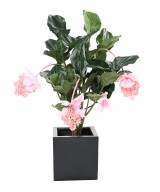 Kunstlill MEDINILLA 90 cm
